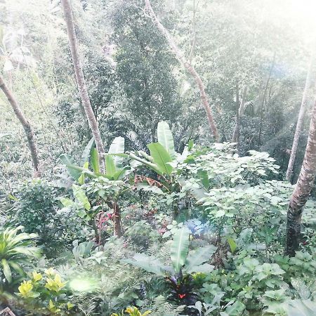 ホテルUbud River Side House エクステリア 写真