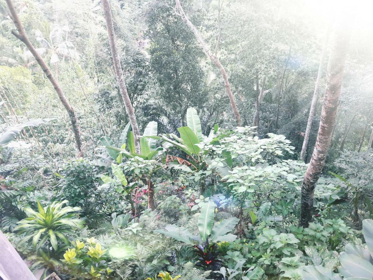 ホテルUbud River Side House エクステリア 写真