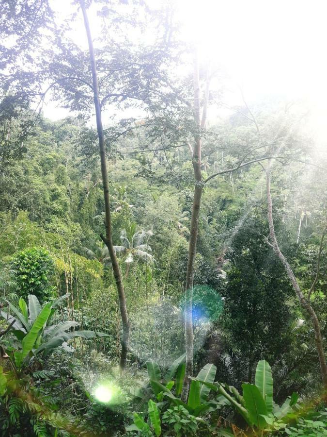 ホテルUbud River Side House エクステリア 写真