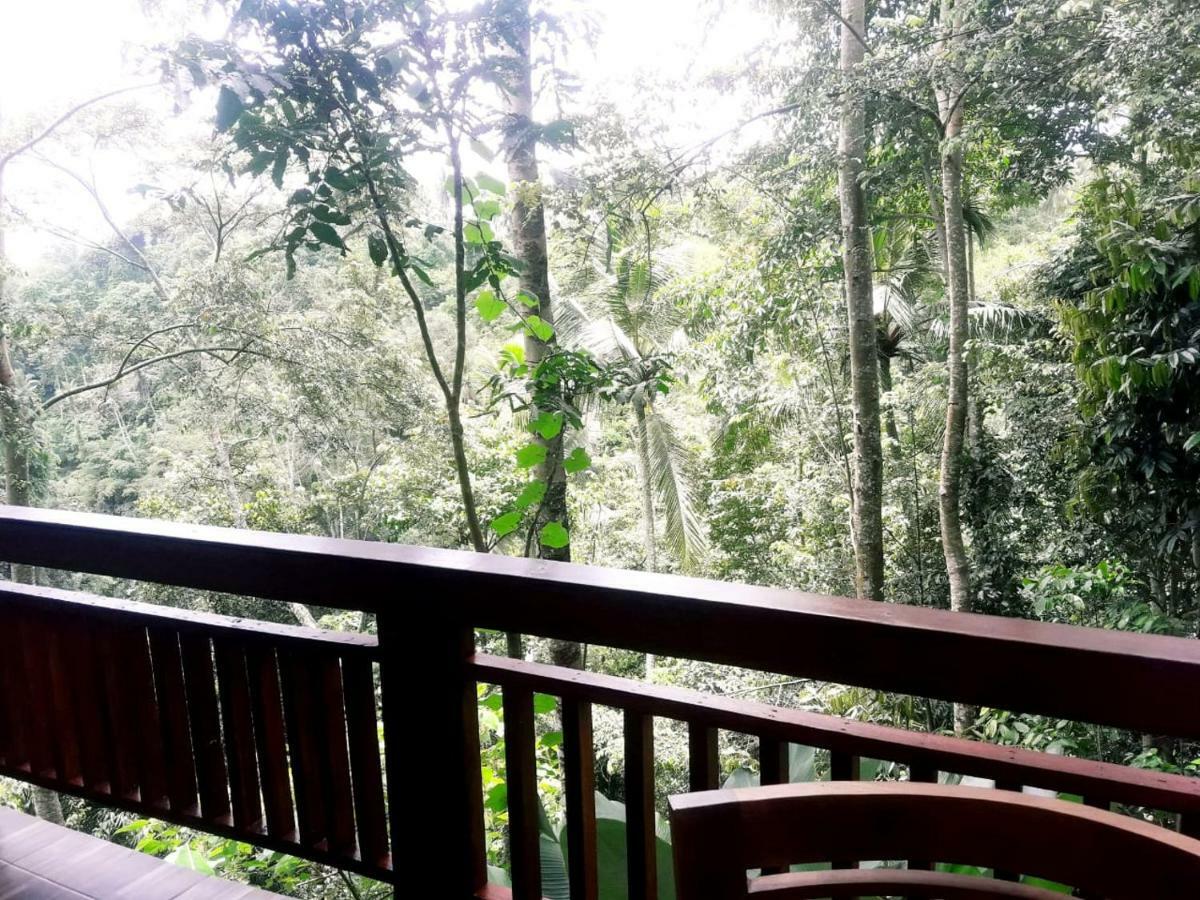 ホテルUbud River Side House エクステリア 写真